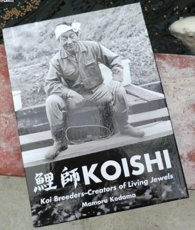 Koishi Book