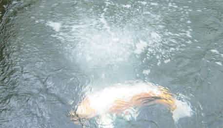 air in pond