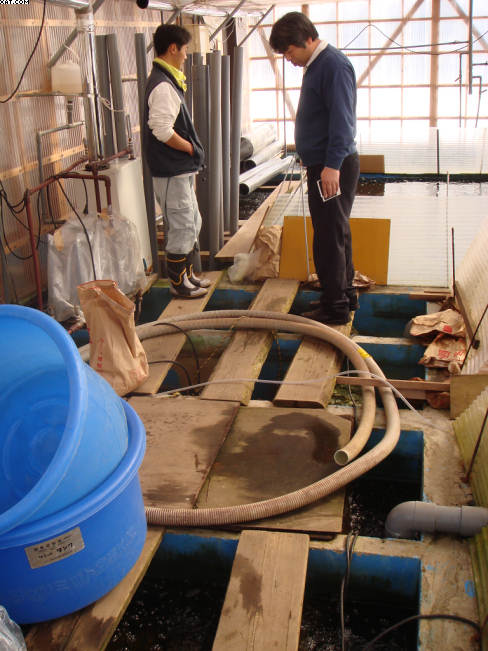 Health and Safety Japanese style