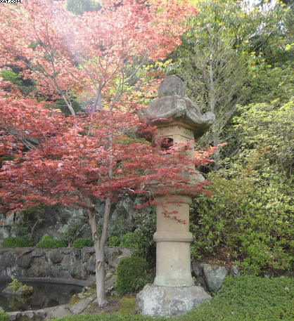 Kyoto Temple Lantern