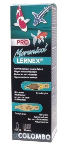 Lernex-Pro