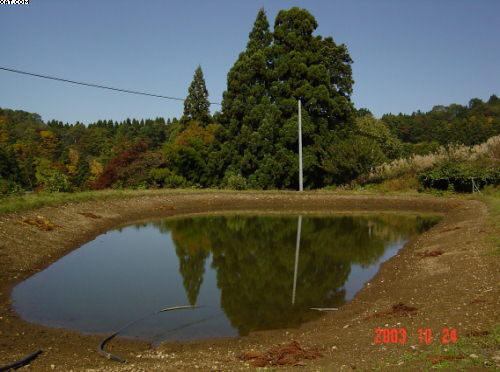 Niigata mud pond