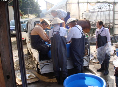 Ofuchi Family at Harvest time
